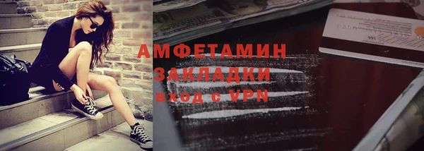 индика Белокуриха