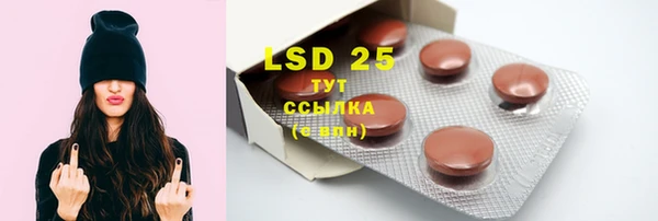 индика Белокуриха