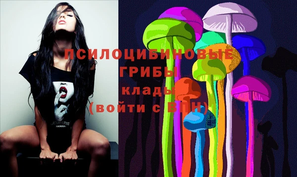 индика Белокуриха