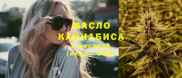 индика Белокуриха