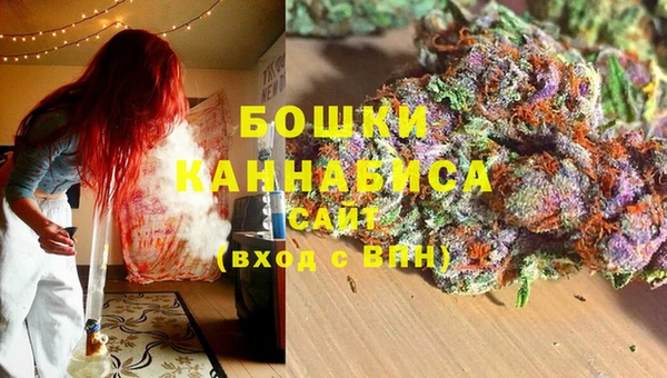 индика Белокуриха