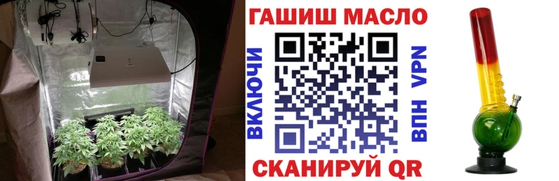 купить  сайты  Гусев  ТГК Wax 