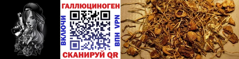 Галлюциногенные грибы Magic Shrooms Гусев