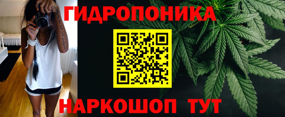 Каннабис THC 21%  Каннабис Bruce Banner  Гусев  Вход с VPN 